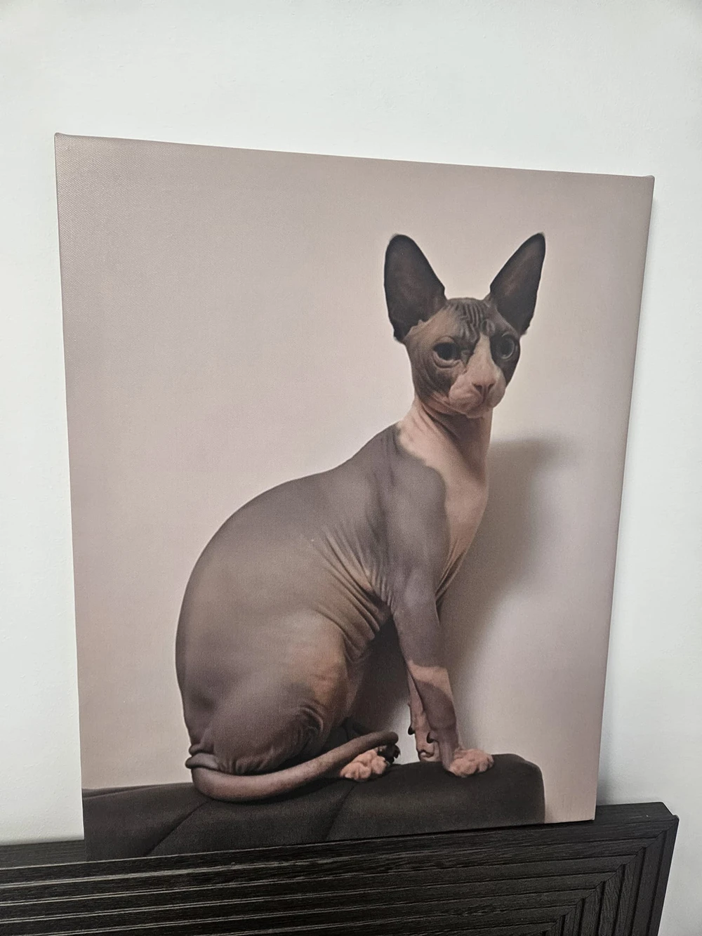 Tablou canvas cu animal de companie