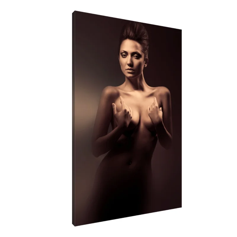 Tablou canvas: Eleganța dezvăluită: Un studiu în lumină - Image 1