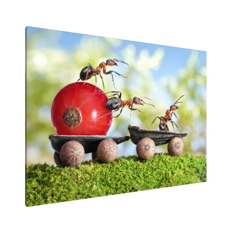 Tablou Canvas: Expresul Aventurii cu Furnici - Image 1