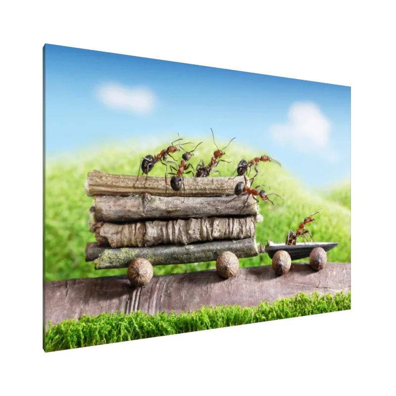 Tablou Canvas: Ant Venture: Marea Călătorie
