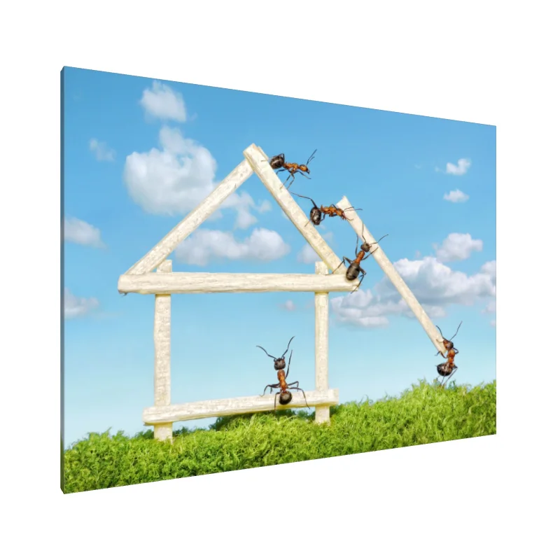 Tablou Canvas: Furnicile la lucru: Construind vise - Image 1