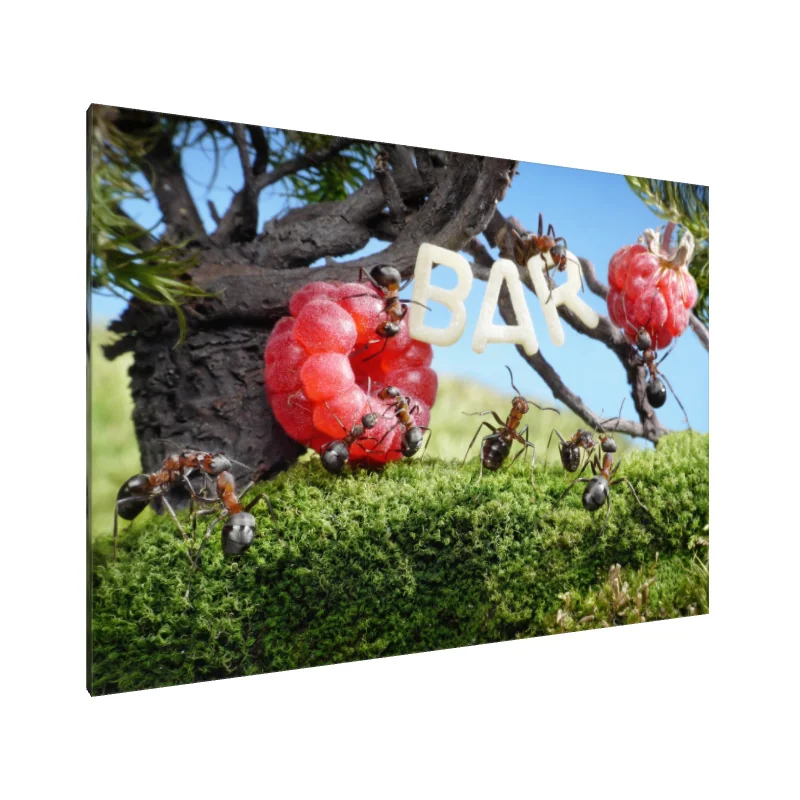 Tablou Canvas: Barul cu fructe al furnicilor