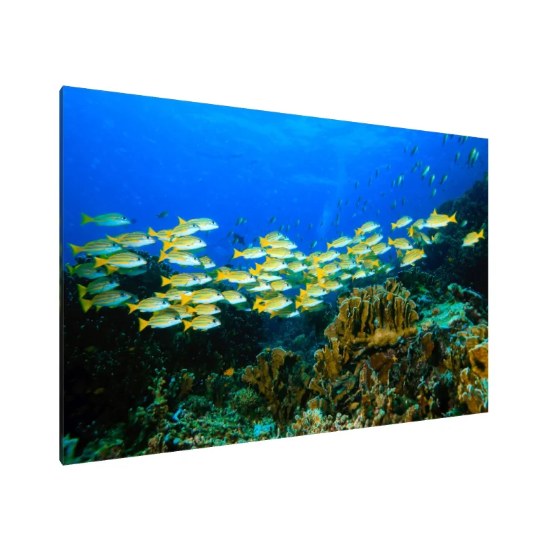 Tablou Canvas: Simfonia Acvatică