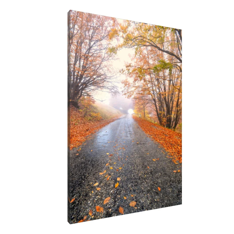 Tablou Canvas: Drum de toamnă