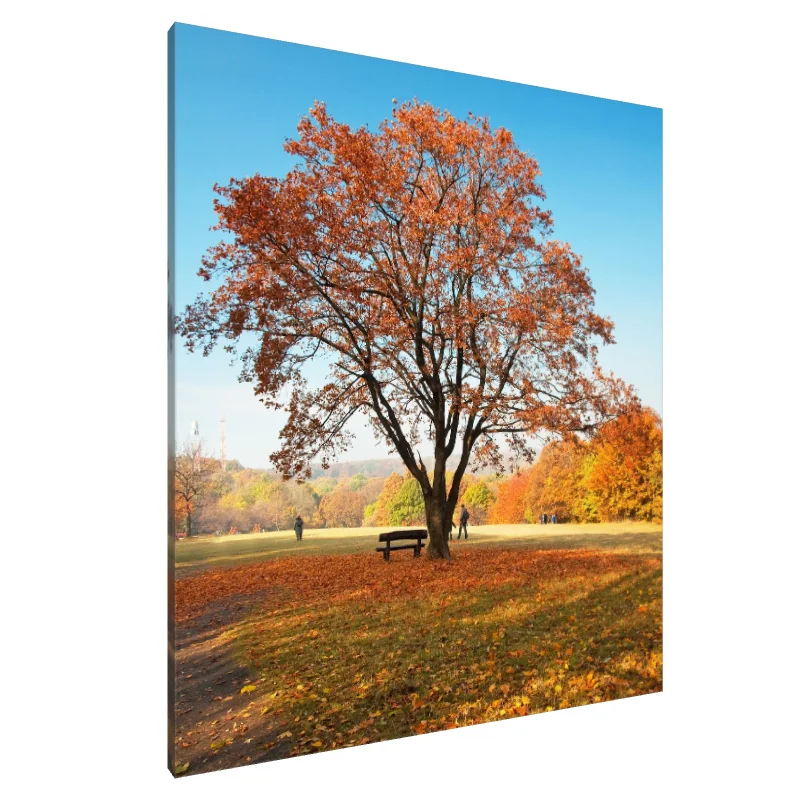 Tablou Canvas: Serenadă de Toamnă