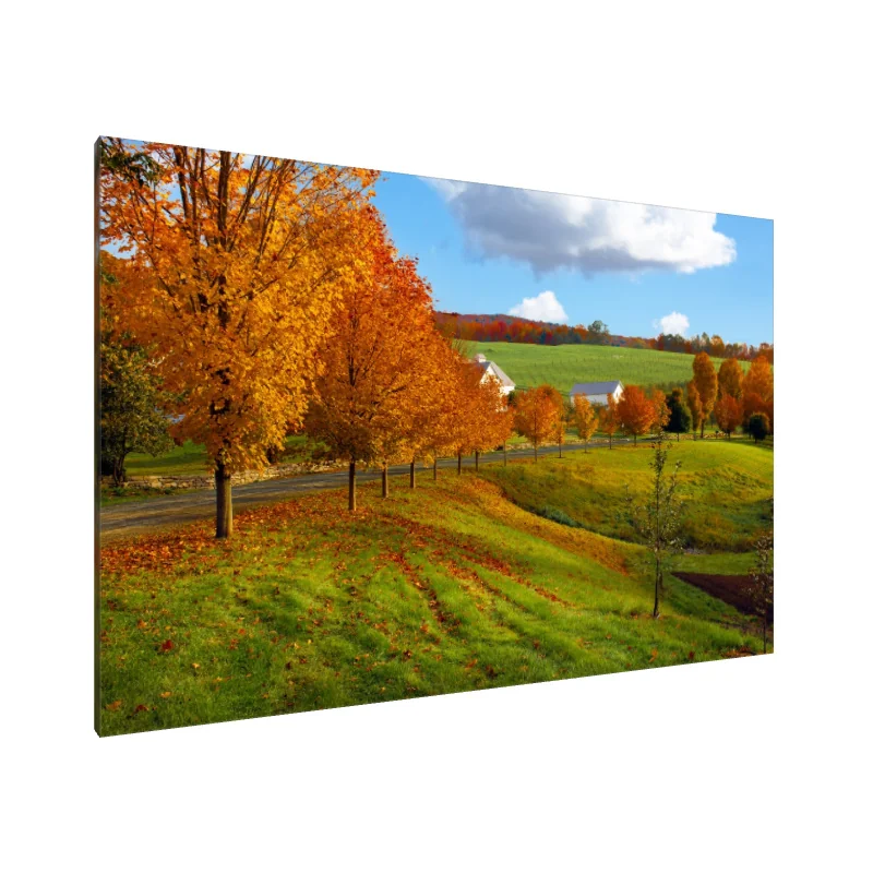 Tablou Canvas: Îmbrățișarea Toamnei (1)