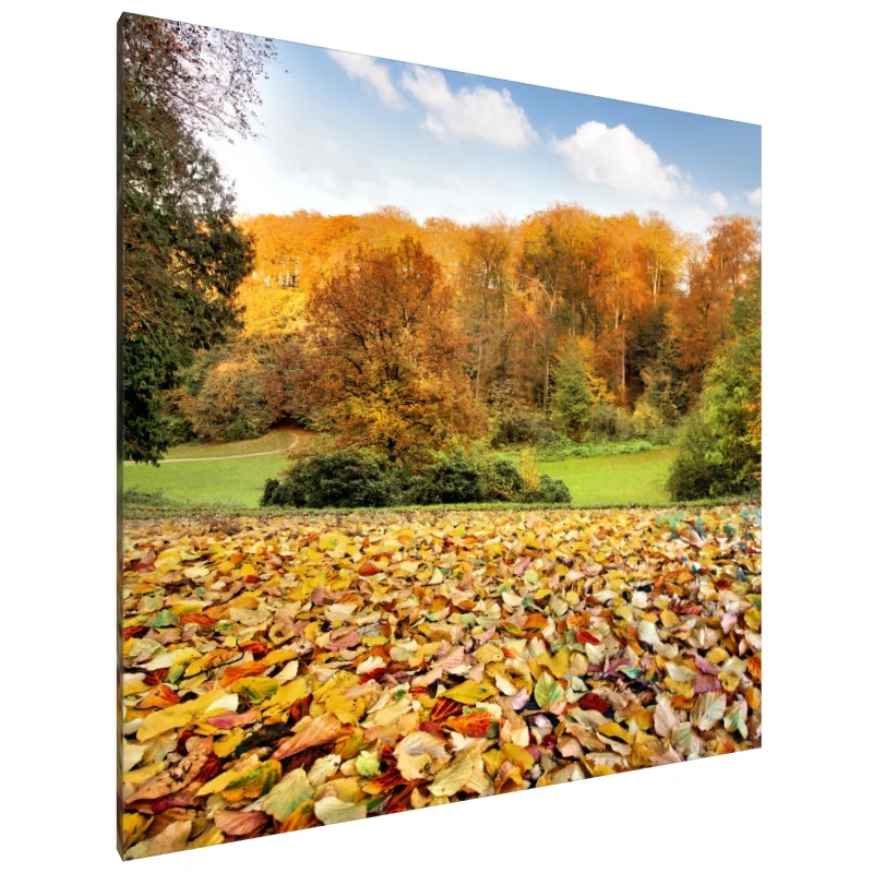 Tablou Canvas: Îmbrățișarea Toamnei