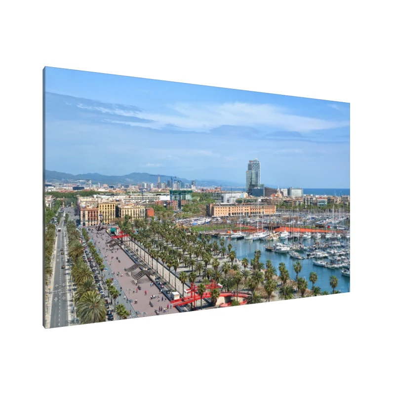 Tablou Canvas: Bucurie în Barcelona - Image 1