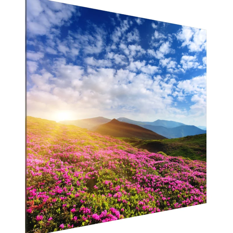 Tablou Canvas: Orizonturi înfloritoare - Image 1