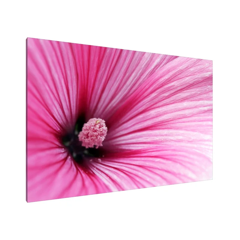 Tablou Canvas: Strălucirea Florilor