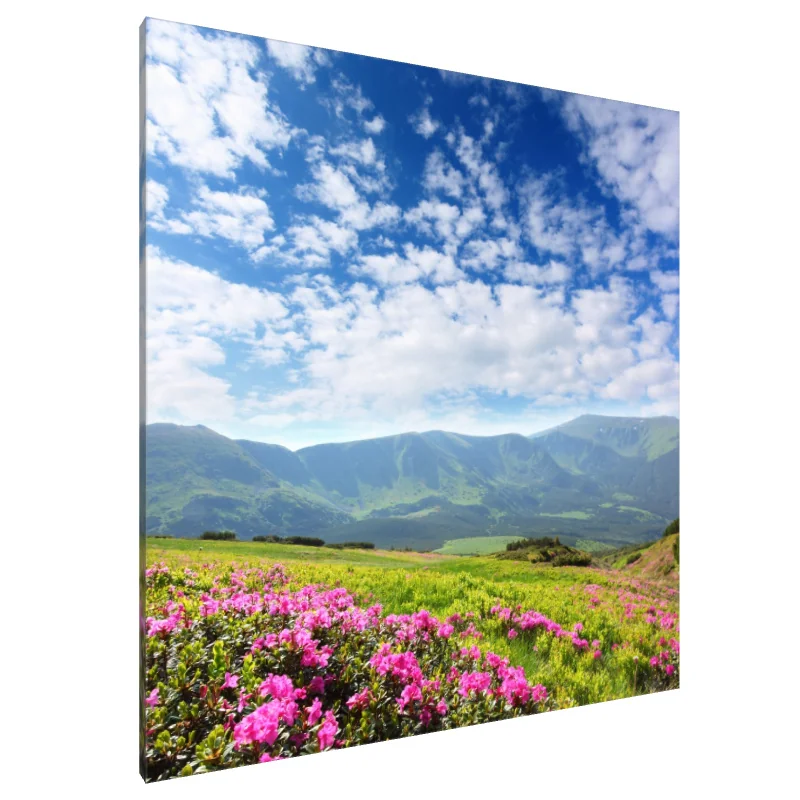 Tablou Canvas: Flori în adierea vântului