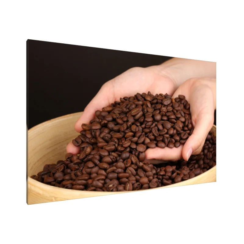 Tablou Canvas: Recolta de fasole