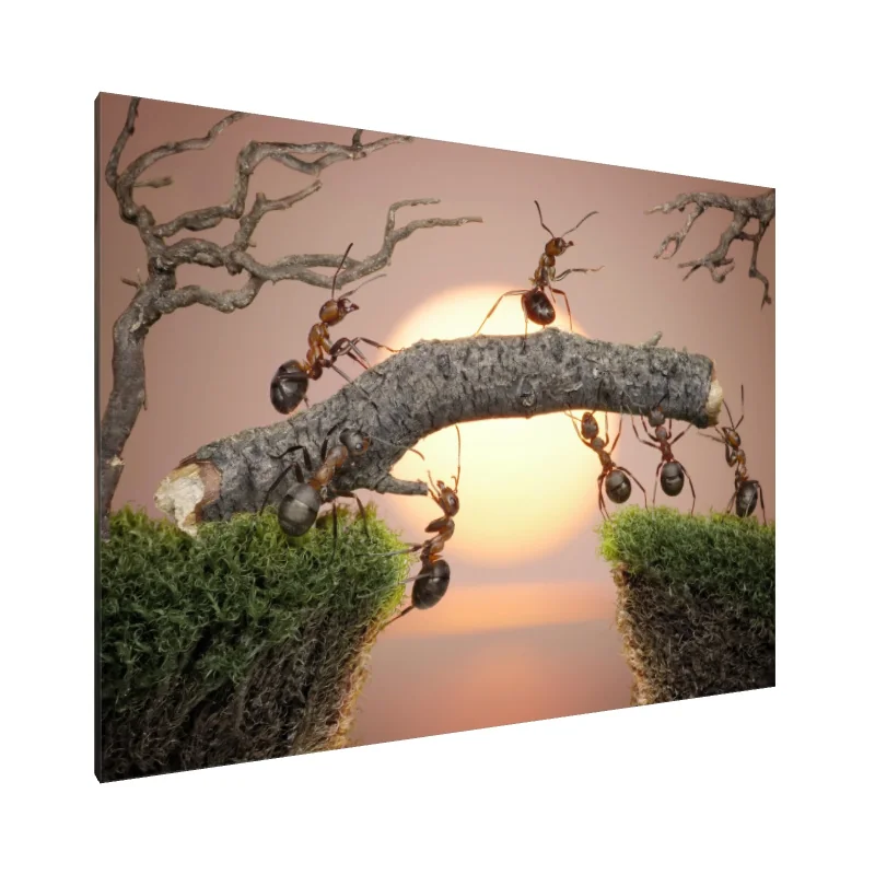 Tablou Canvas: Podul Unității - Image 1