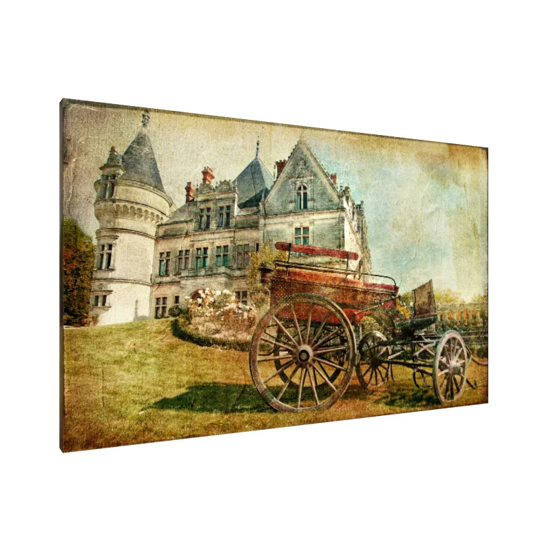 Tablou Canvas: Vise de Castel