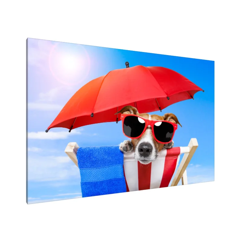 Tablou Canvas: Paradisul relaxant al câinelui