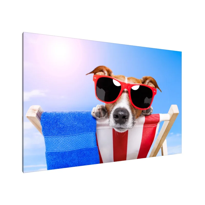 Tablou Canvas: Câine Cool Relaxat