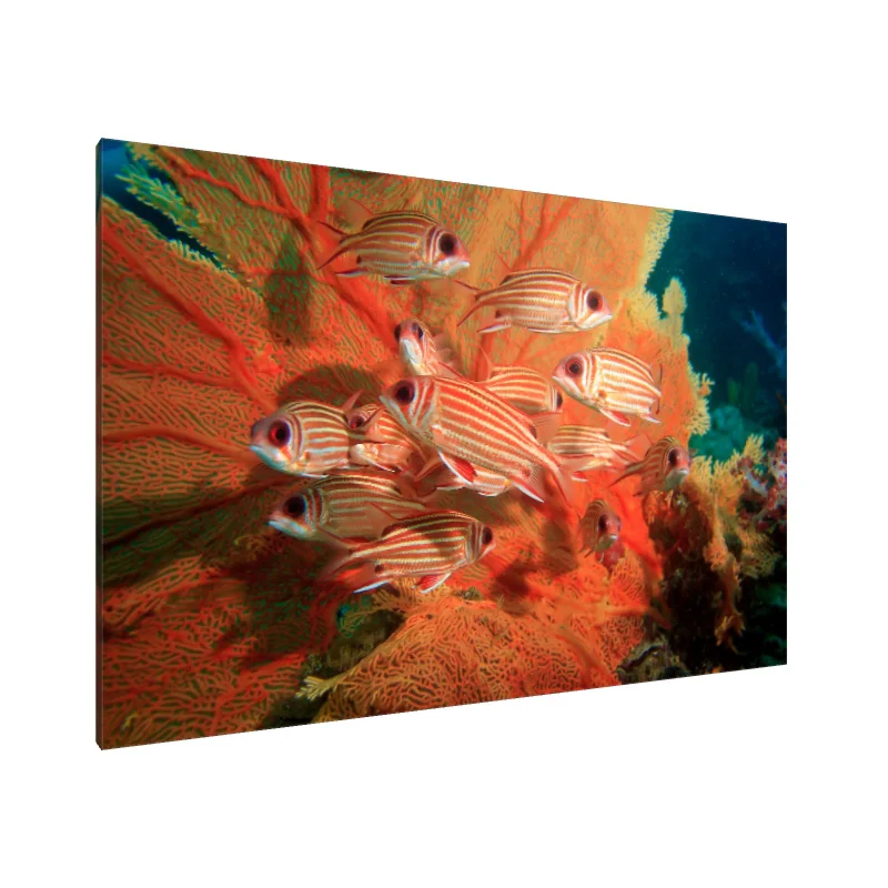 Tablou Canvas: Simfonia Coralilor