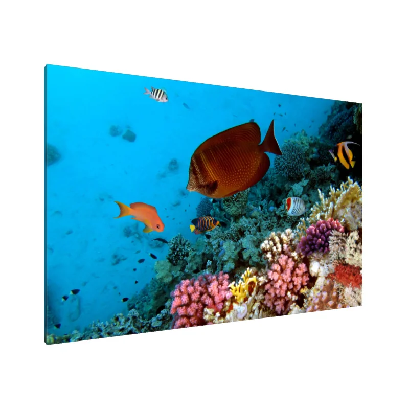 Tablou canvas: Simfonia Coralilor 1754590186857