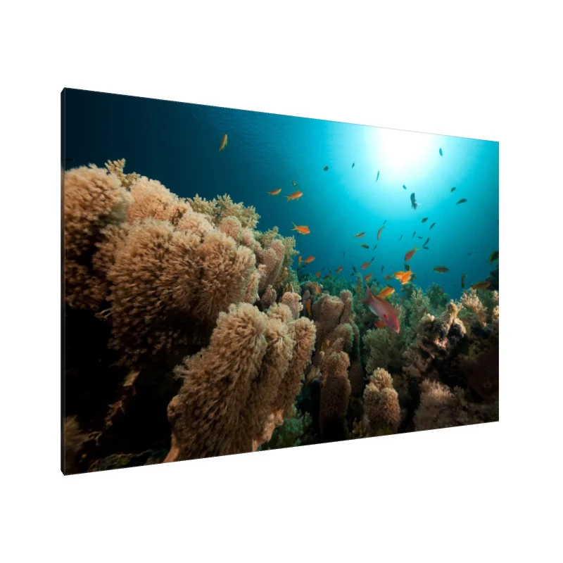 Tablou Canvas: Simfonia de Corali.