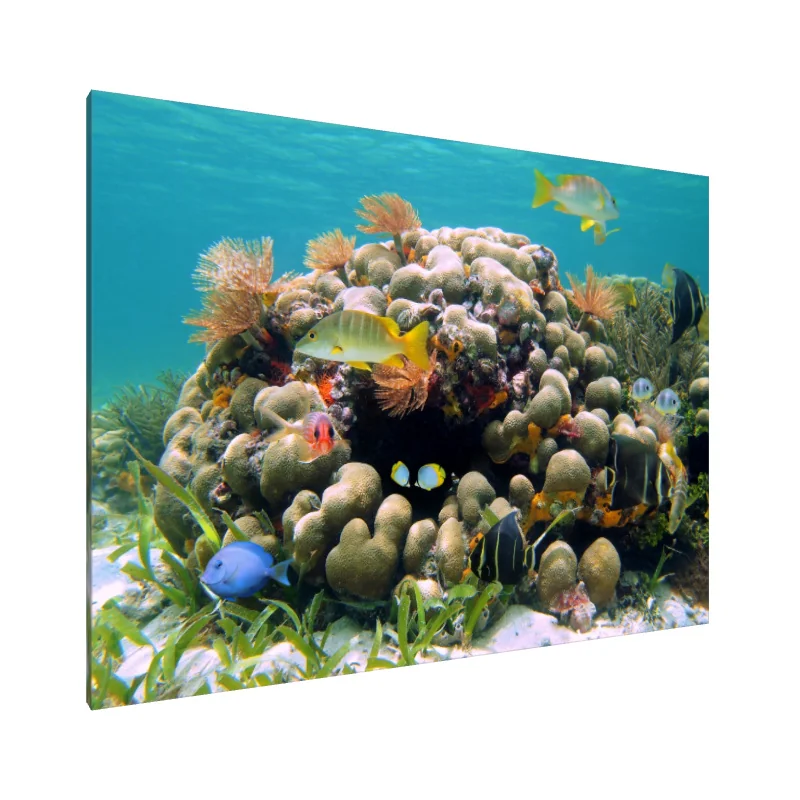 Tablou Canvas: Simfonia Coralilor (1)