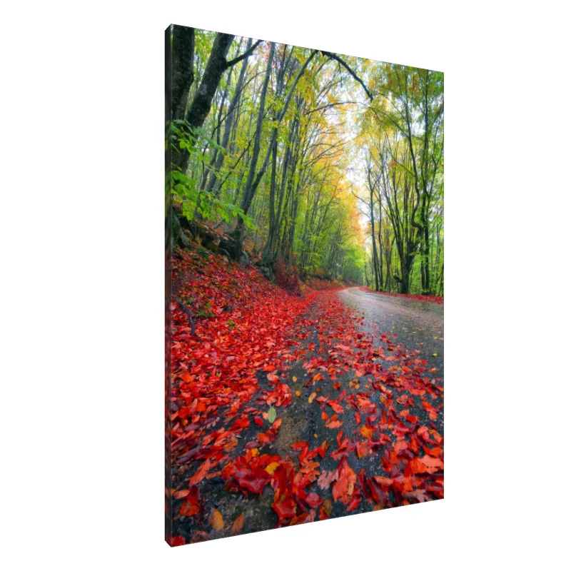 Tablou Canvas: Alei Cremisi