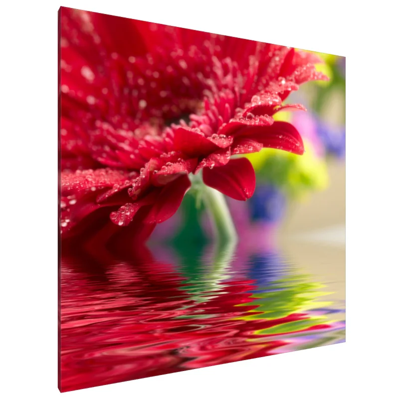 Tablou Canvas: Reflecție Cărămizie