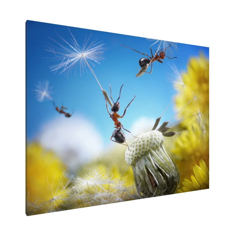 Tablou Canvas: Dansul călăreților de păpădie - Image 1