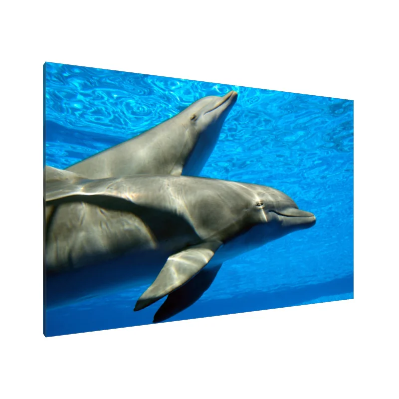 Tablou Canvas: Delfini Dansatori (1) - Image 1