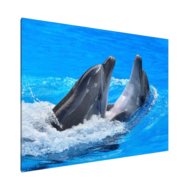 Tablou Canvas: Delfini Dansatori