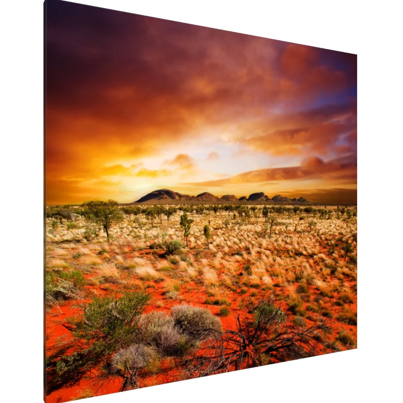 Tablou Canvas: Simfonia Deșertului