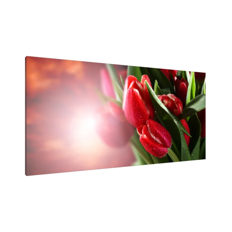 Tablou Canvas: Visul de lalele acoperite de rouă