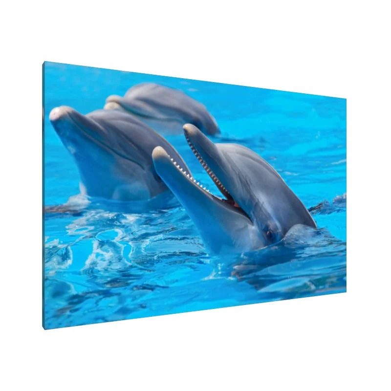 Tablou Canvas: Simfonia Delfinilor - Image 1