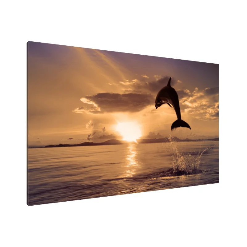 Tablou Canvas: Dansul zorilor delfinilor