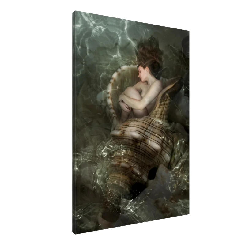 Tablou Canvas: Visând la Adâncuri