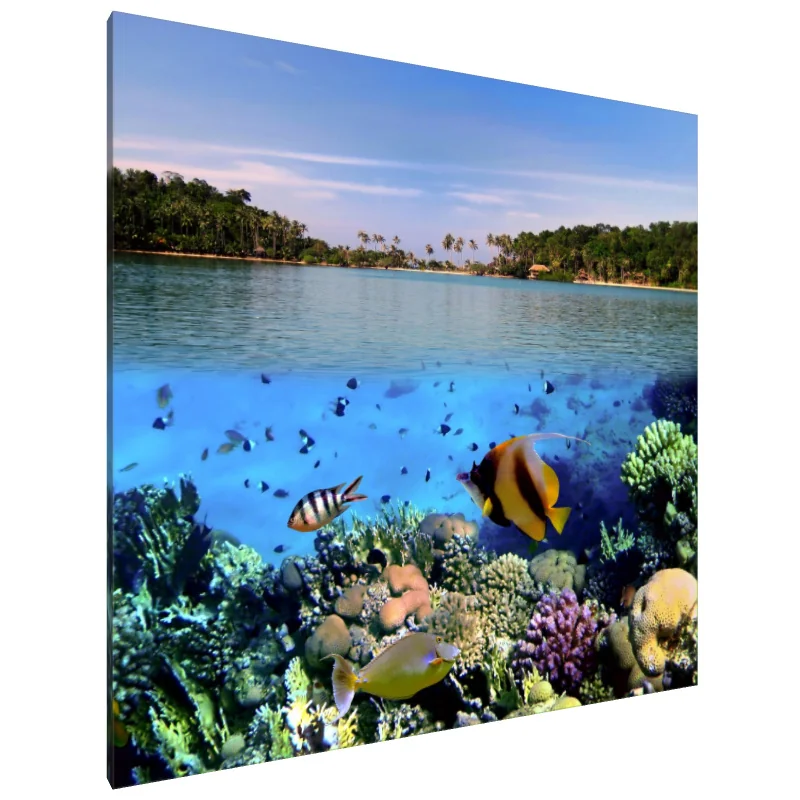 Tablou Canvas: Serenitatea Regatului Dual