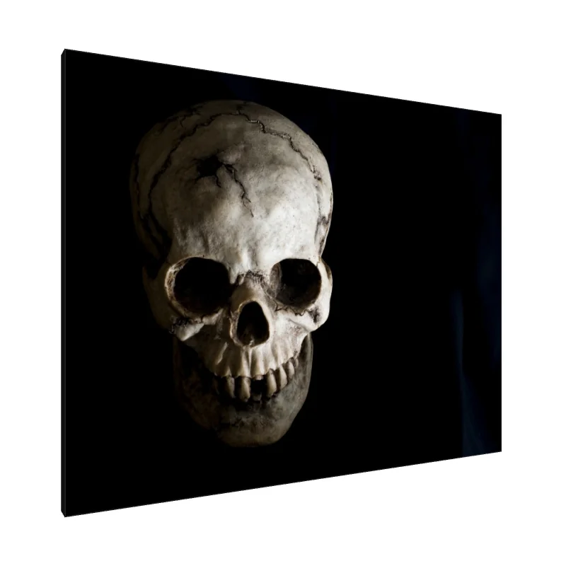 Tablou Canvas: Ecouri ale Timpului