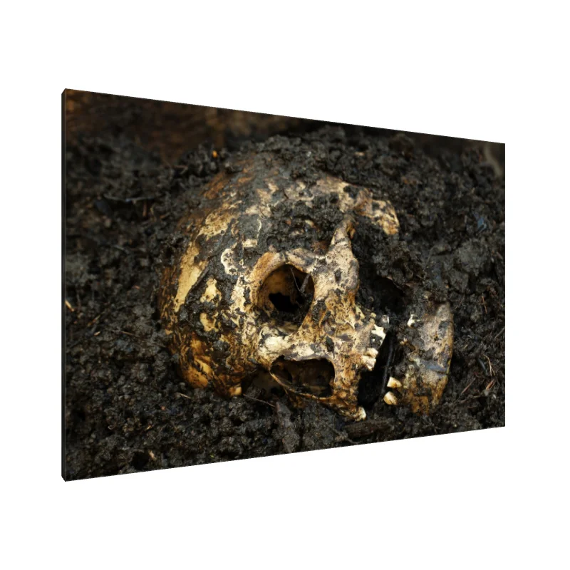 Tablou Canvas: Ecouri ale Timpului (1)