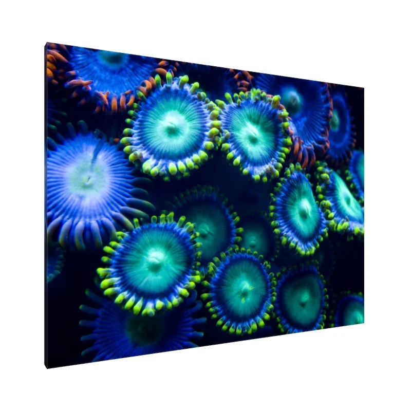 Tablou Canvas: Adâncimi elysiene