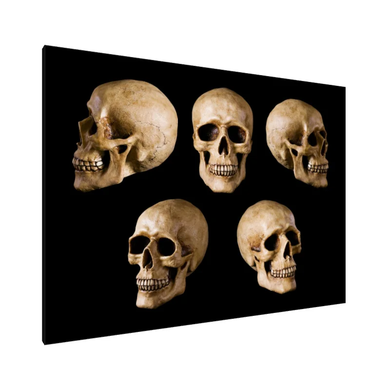 Tablou Canvas: Ecouri Eterne (1)