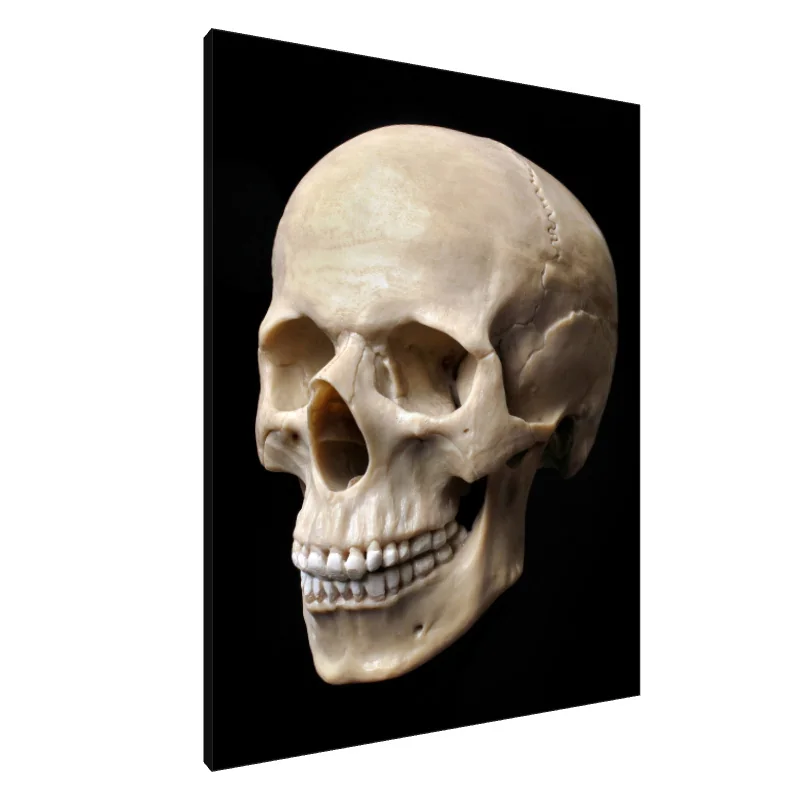 Tablou Canvas: Ecouri Eterne (2)