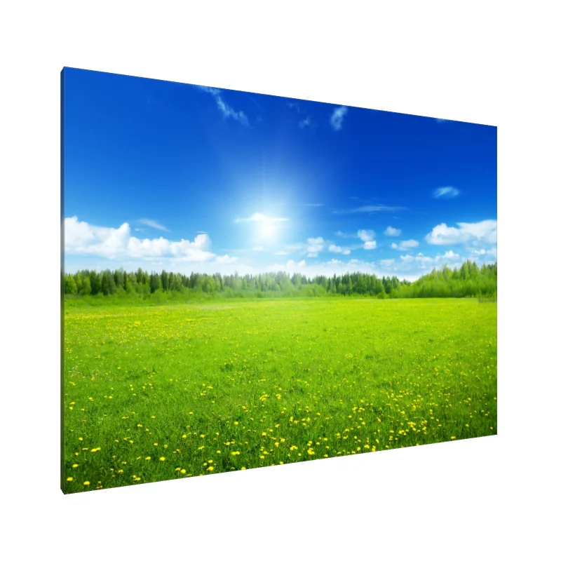 Tablou Canvas: Fericire eternă în câmpie