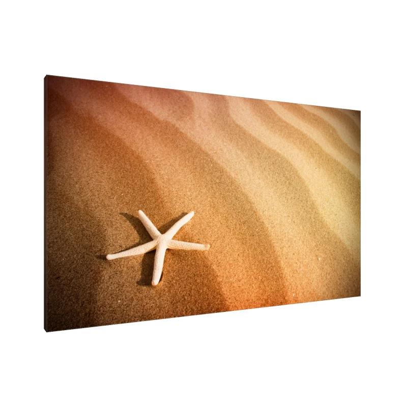 Tablou Canvas: Țărmul Etern