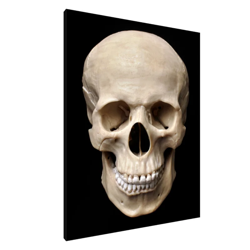 Tablou Canvas: Tăcerea Eternă