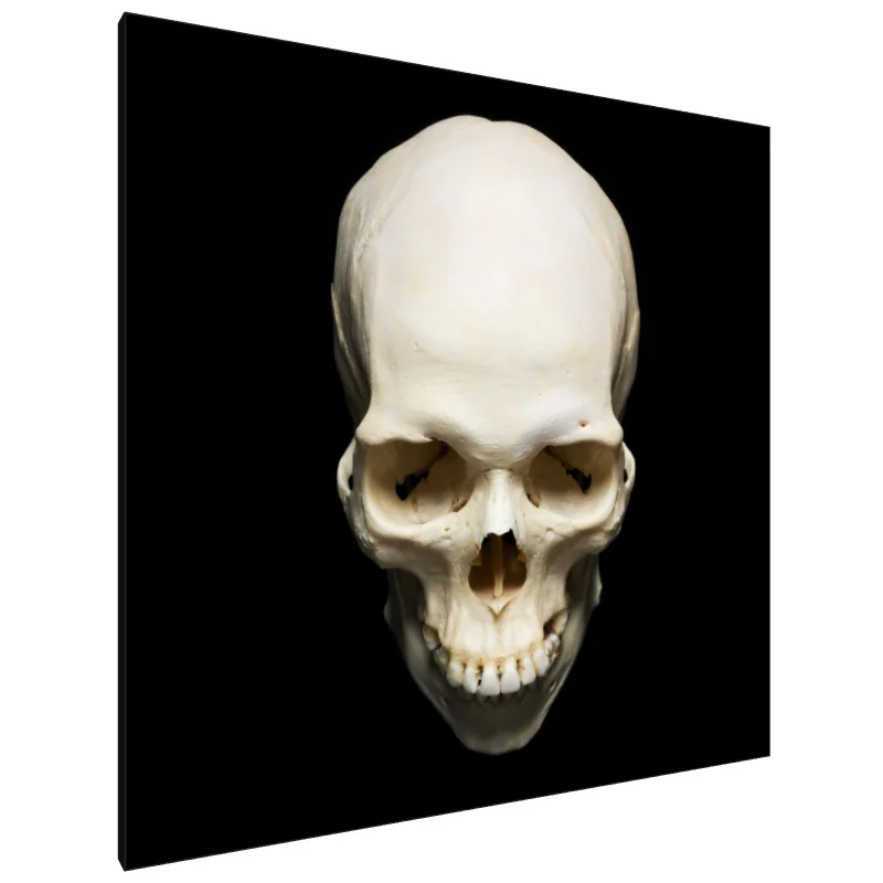 Tablou Canvas: Tăcerea Eternă (1)