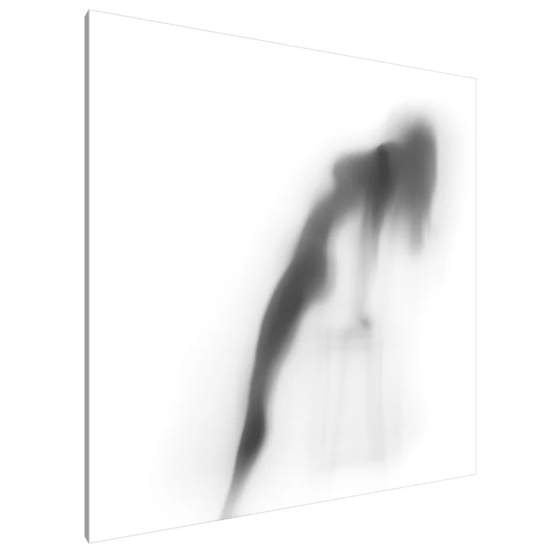 Tablou canvas: Tablou pe pânză: Grație etereală