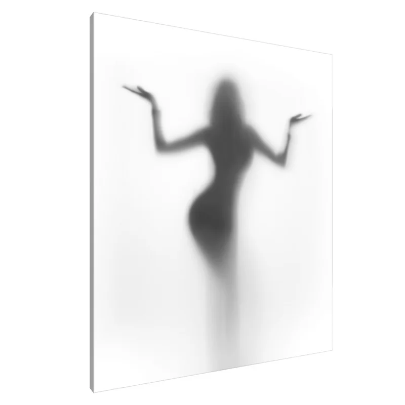 Tablou Canvas: Silueta Eterea