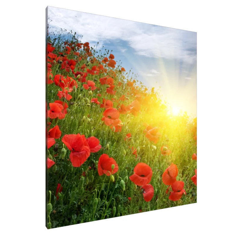 Tablou Canvas: Câmpuri de strălucire