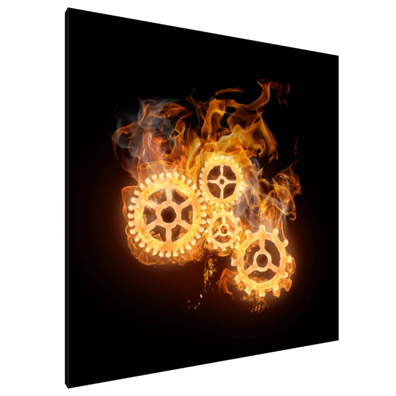 Tablou Canvas: Foc și Mișcare - Image 1