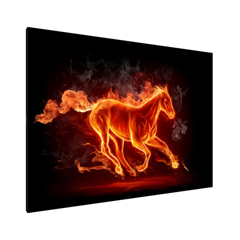 Tablou Canvas: Spirit în flăcări