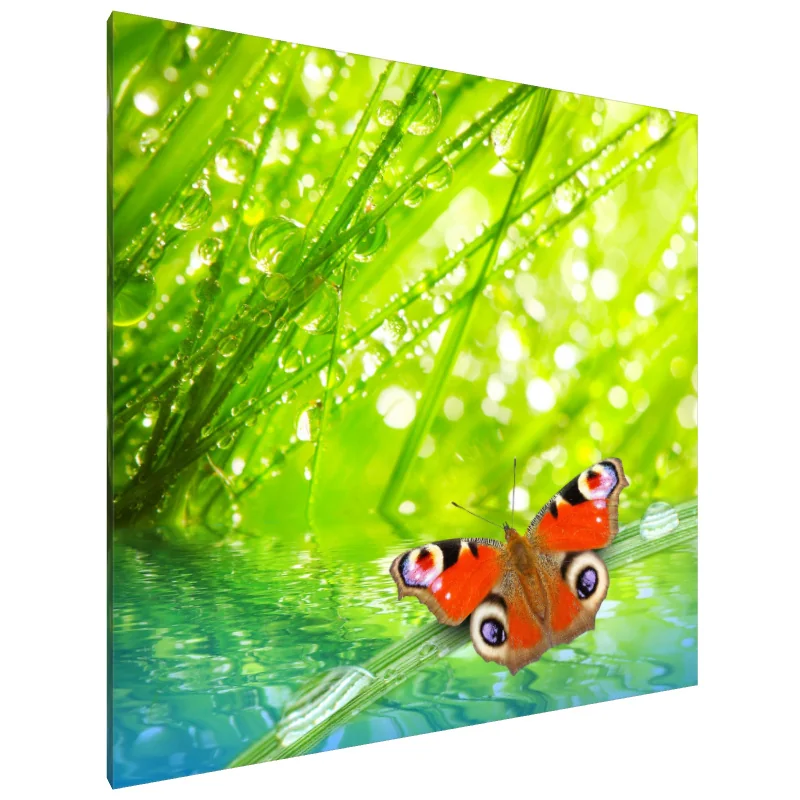 Tablou Canvas: Seninătate fluturândă